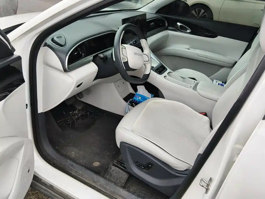 Geely Galaxy Starwish 2024 — фото 9