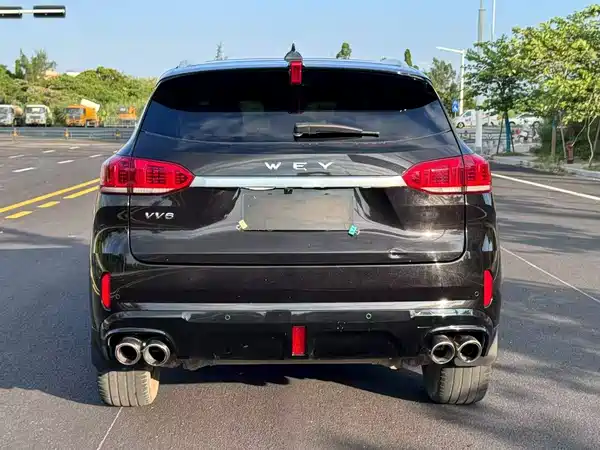 Wey VV6 2020