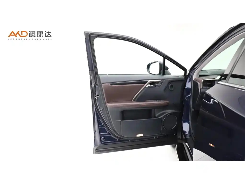 Lexus RX 2020 — фото 10
