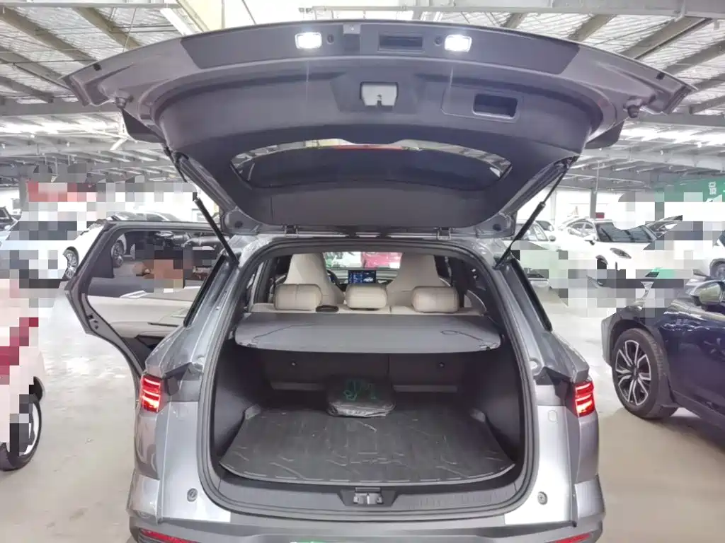 BYD Song Pro New Energy 2024 — фото 19