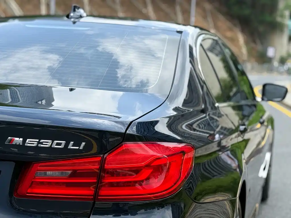 BMW 5 Series 2018 — фото 11