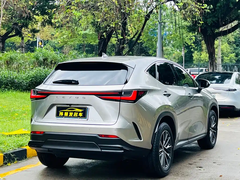 Lexus NX 2024 — фото 5
