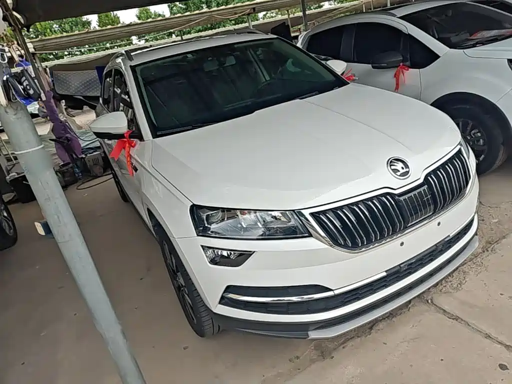 Skoda Karoq 2019 — фото 4