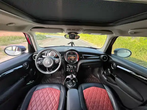 MINI 2019