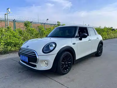 MINI MINI 2019
