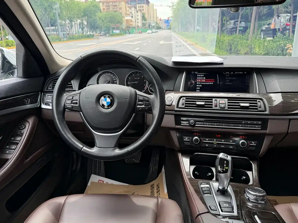 BMW 5 Series 2015