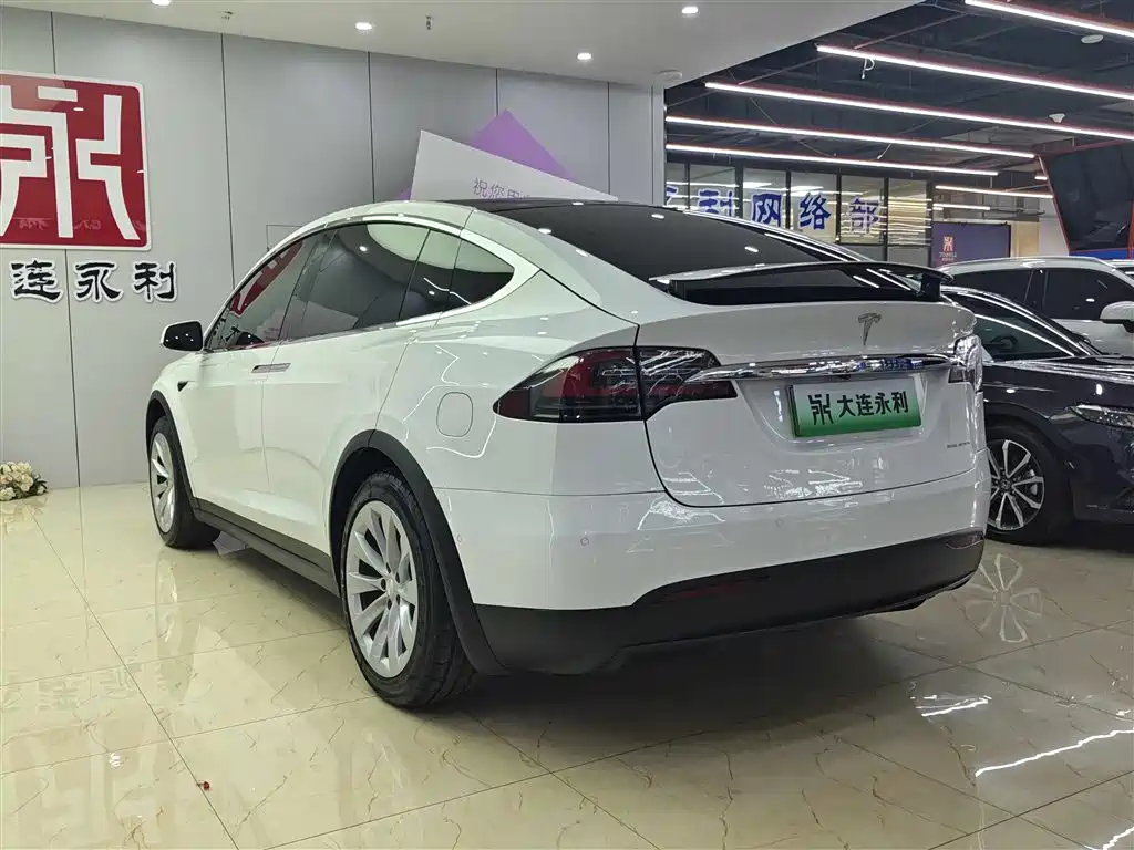 Tesla Model X 2020 — фото 4