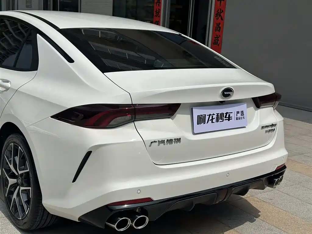 GAC Motor Shadow Leopard 2023 — фото 20