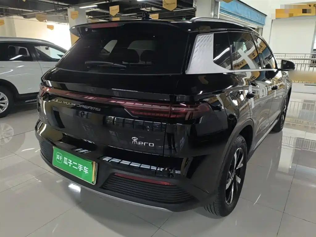 BYD Pro New Energy 2024 — фото 7