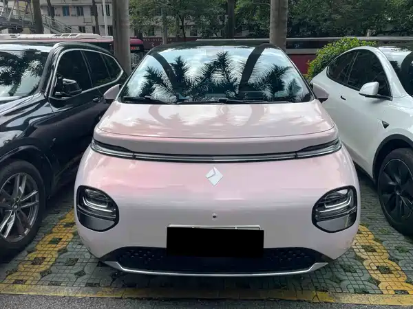 Baojun Yunduo 2024