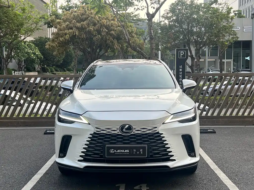 Lexus RX New Energy 2023 — фото 2