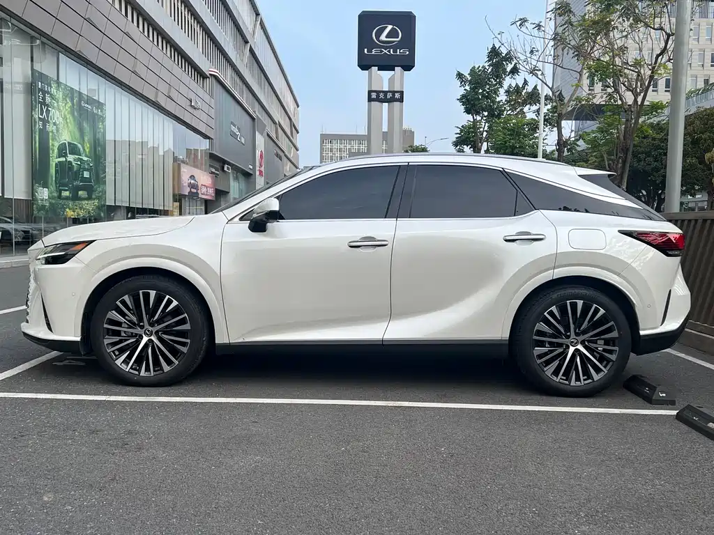 Lexus RX New Energy 2023 — фото 4