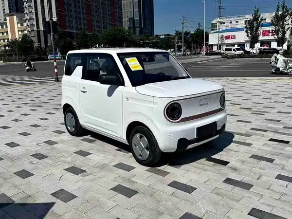 Geely Galaxy Panda 2024