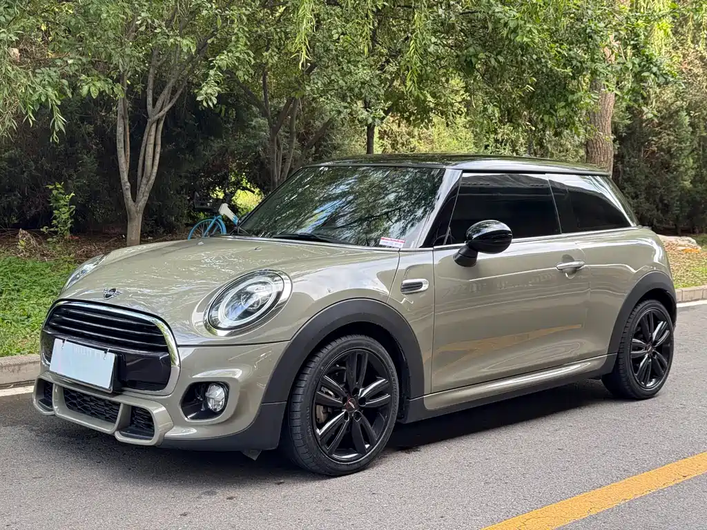 MINI MINI 2018