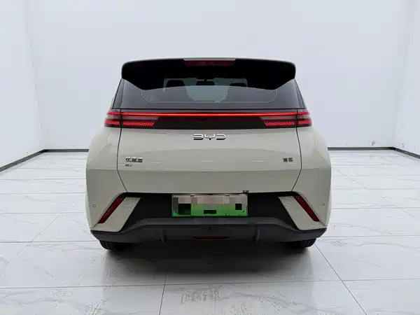 BYD Seagull 2024