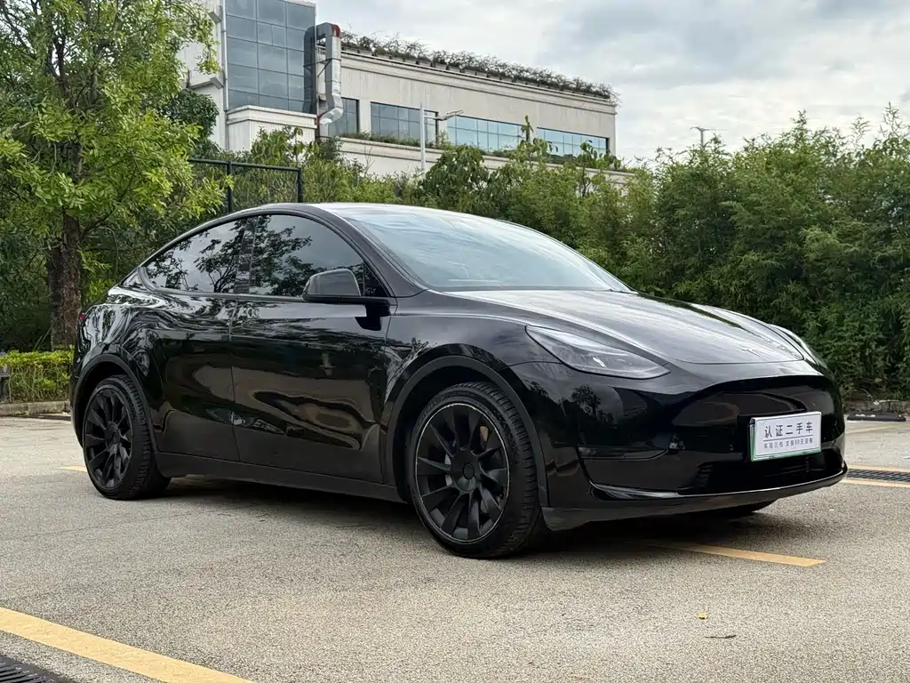 Tesla Model Y 2021 — фото 3