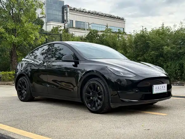 Tesla Model Y 2021