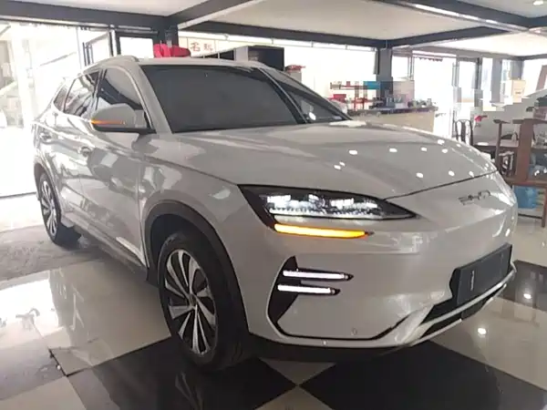 BYD Song PLUS New Energy 2024
