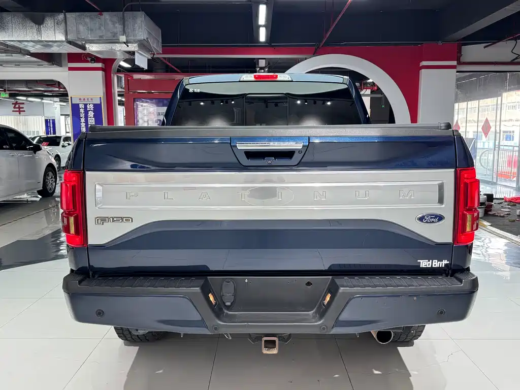Ford F-150 Raptor 2015 — фото 8