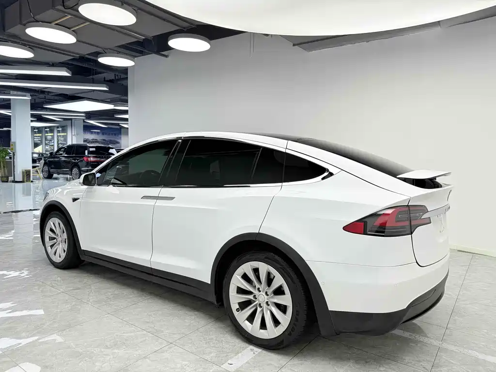 Tesla Model X 2017 — фото 5