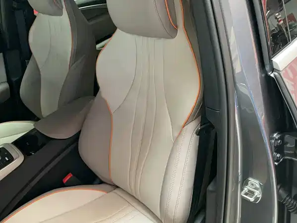 BYD Song Pro New Energy 2024