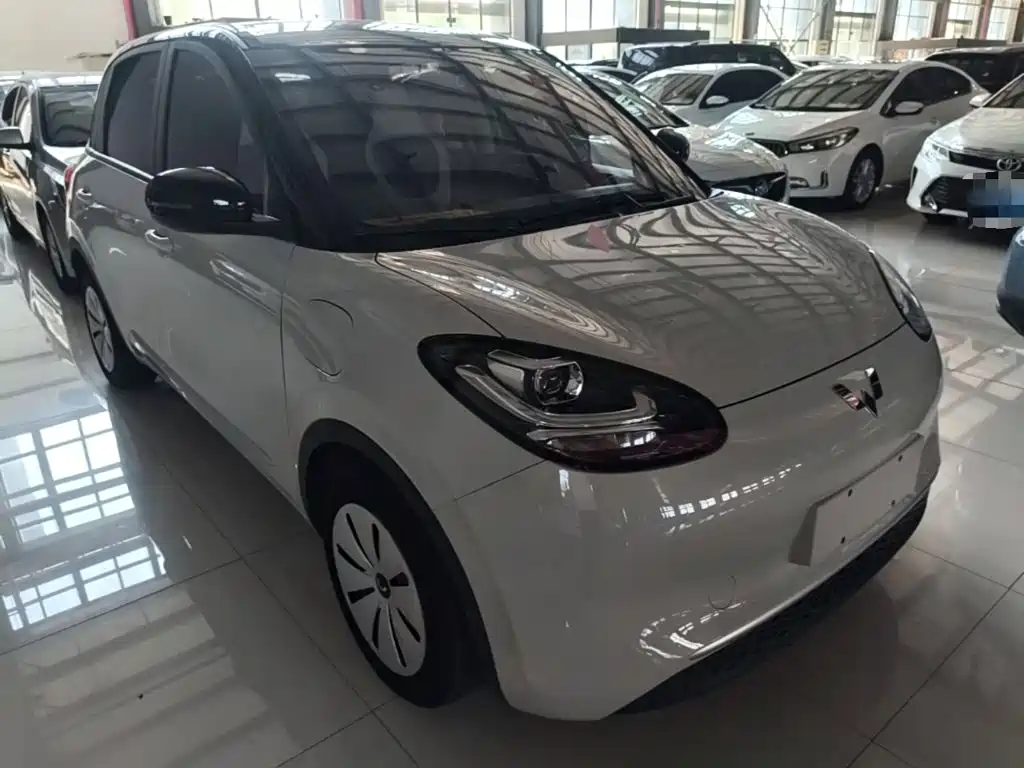 Wuling Bingo 2024