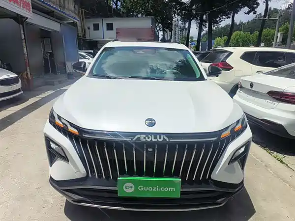 Dongfeng Haoji 2022