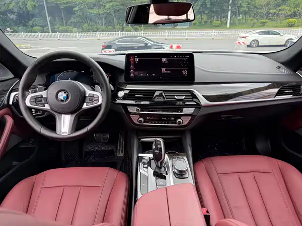 BMW 5 Series 2019
