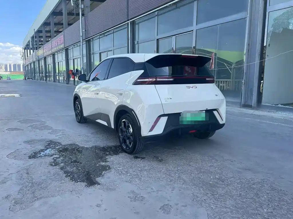 BYD Seagull 2025