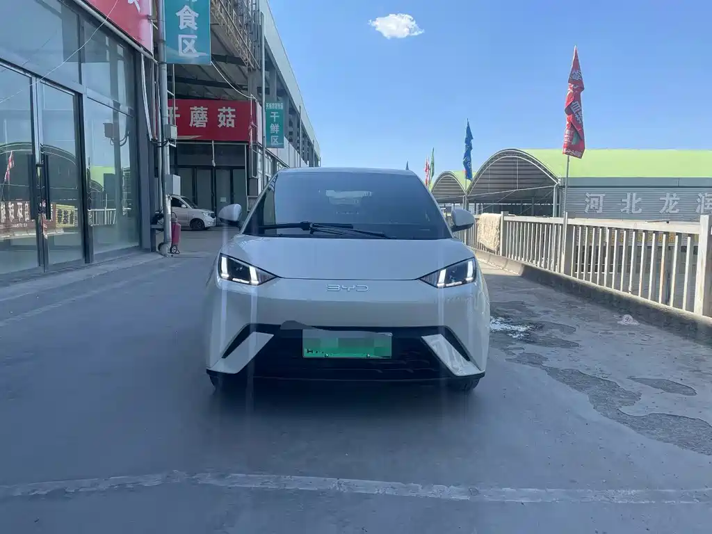 BYD Seagull 2025