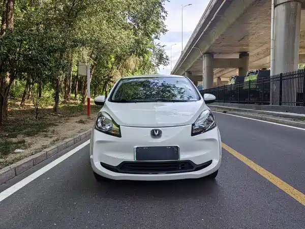 Changan Benben E-Star 2021