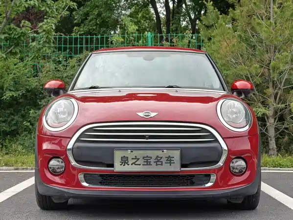 MINI 2017