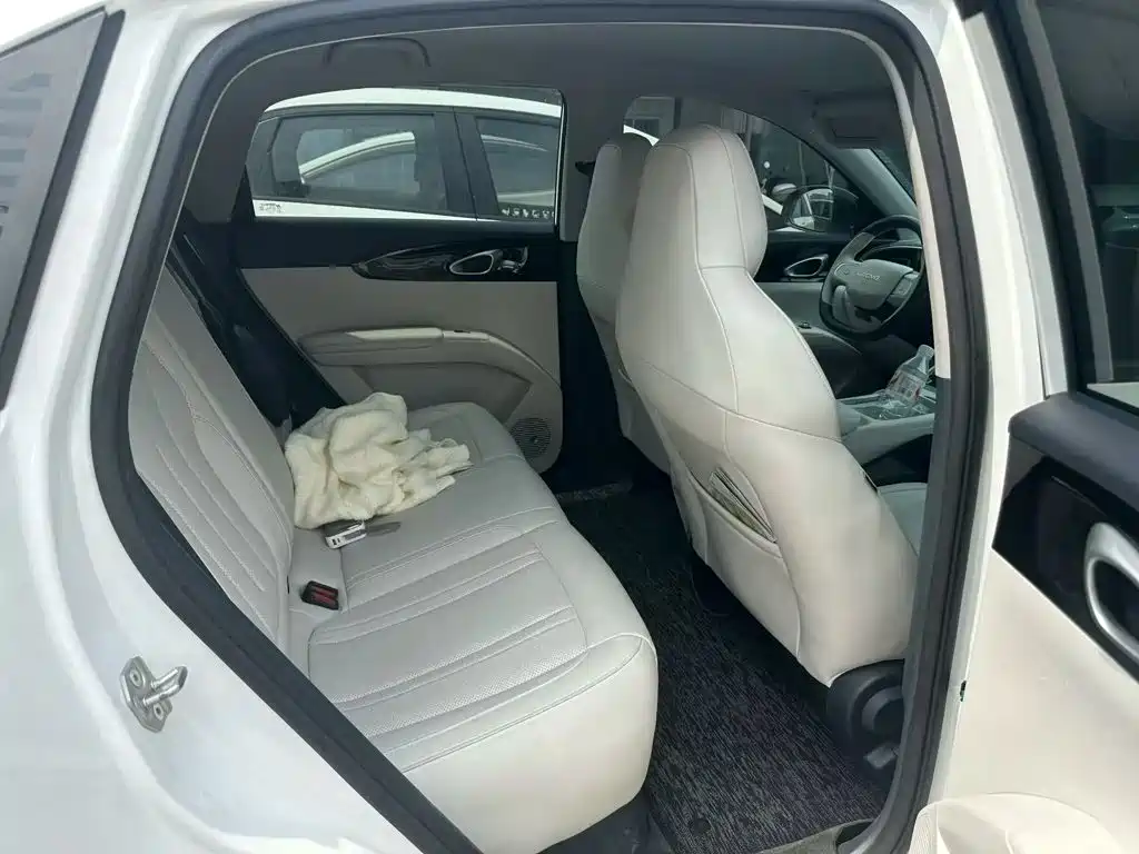 Geely Galaxy Starwish 2024 — фото 4
