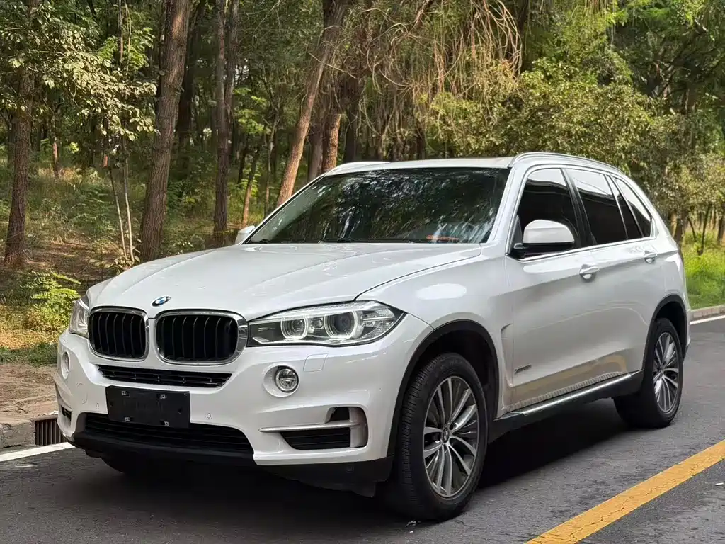 BMW X5 2014