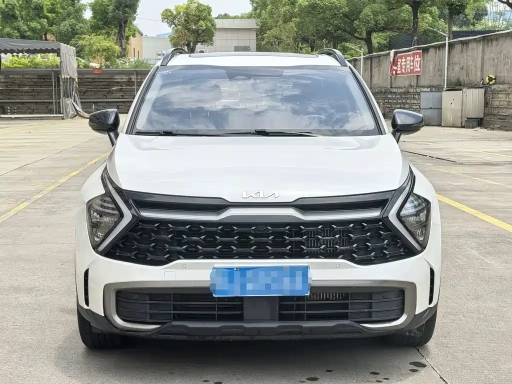 Kia Lion Platinum Expands The Boundary 2023 — фото 2