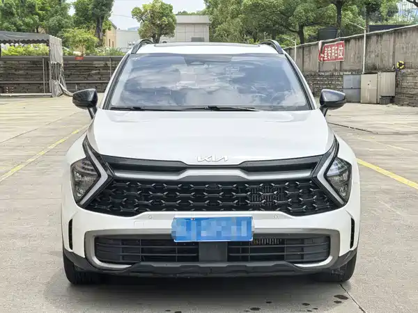Kia Lion Platinum Expands The Boundary 2023