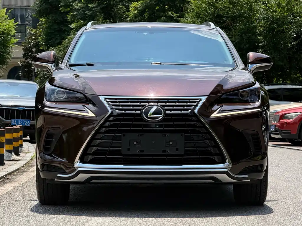 Lexus NX 2018