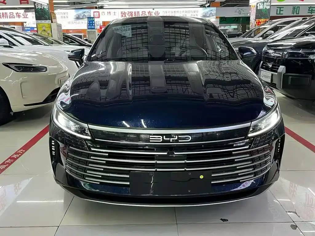BYD Destroyer 05 2024 — фото 2