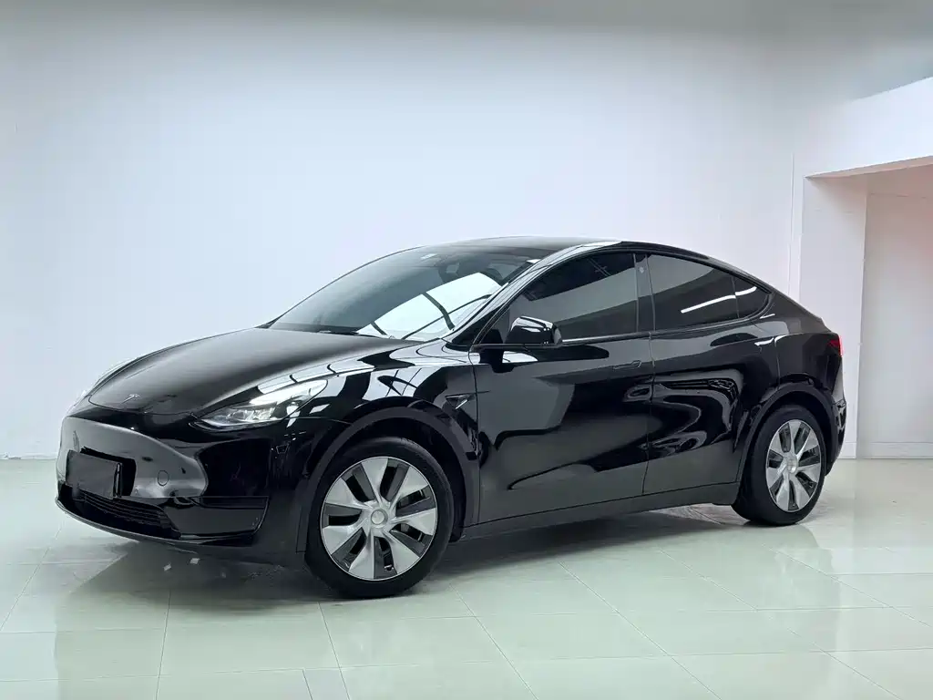 Tesla Model Y 2021 — фото 1