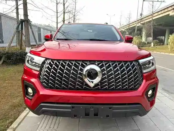 Great Wall Poer 2023