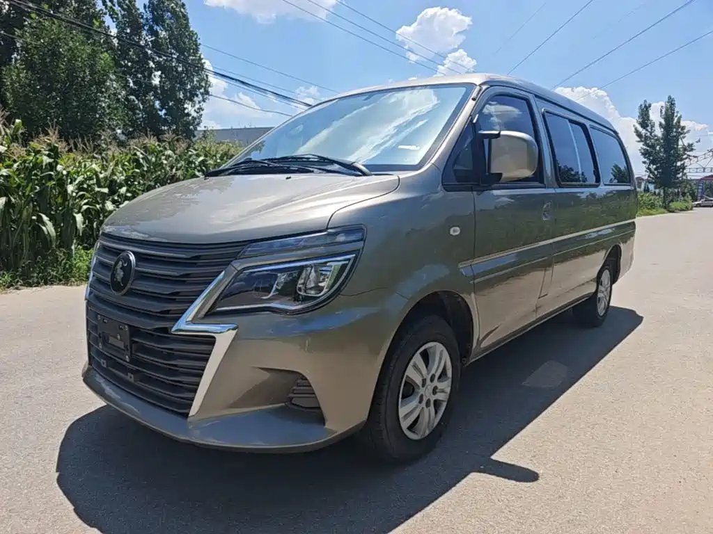 Dongfeng Lingzhi 2024