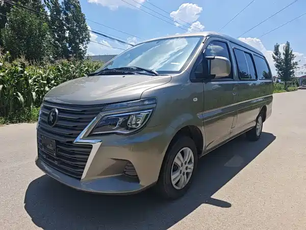 Dongfeng Lingzhi 2024