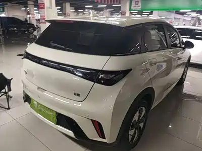 BYD Dolphin 2026