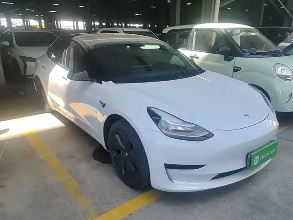 Tesla Model 3 2020