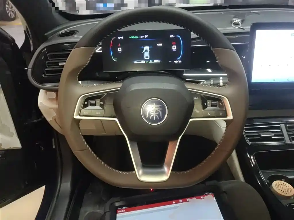 BYD Qin PLUS 2023 — фото 11