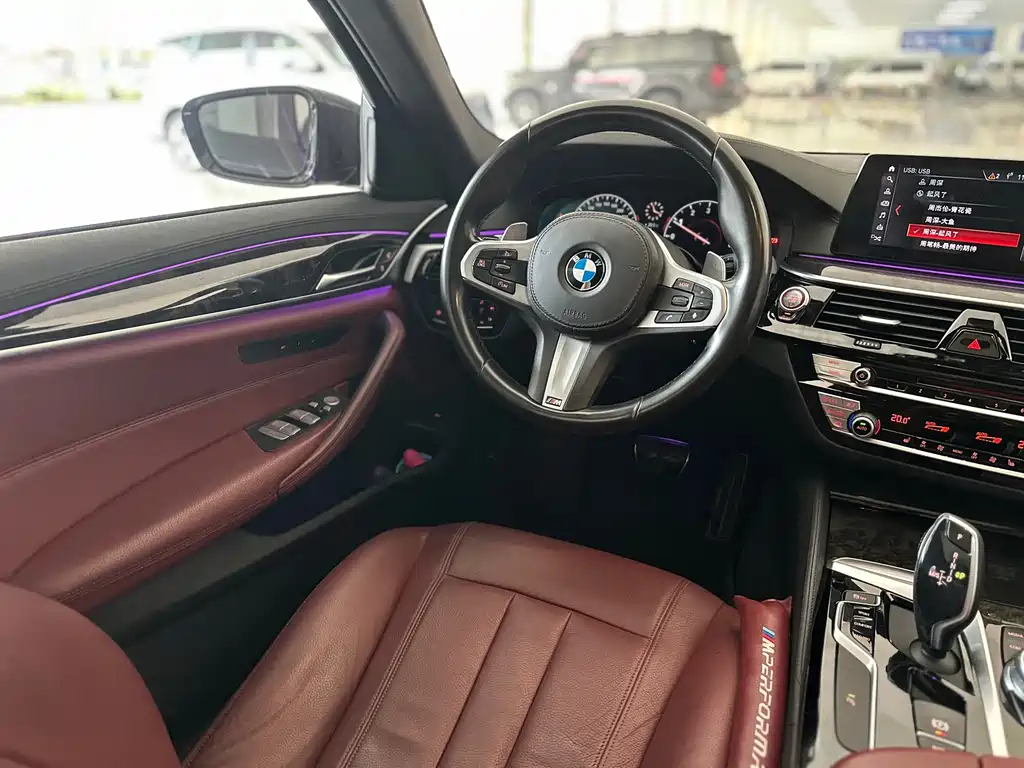 BMW 5 Series 2019 — фото 13