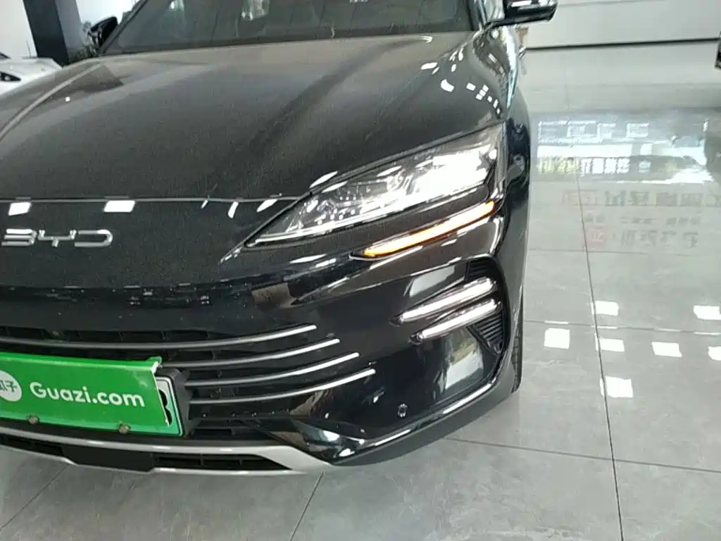 BYD Song PLUS New Energy 2024 — фото 24