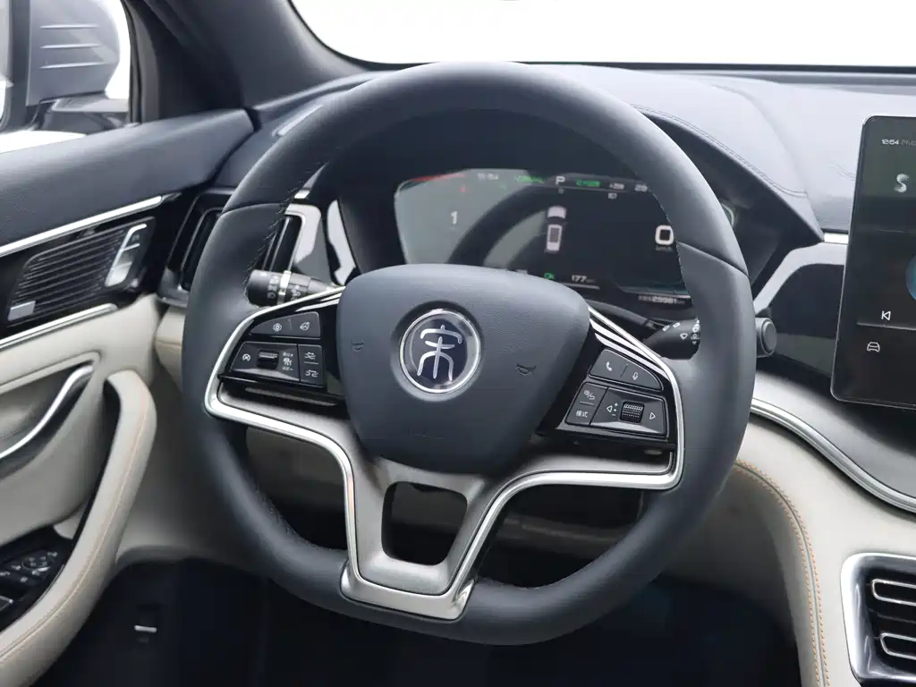 BYD Song PLUS New Energy 2021 — фото 16