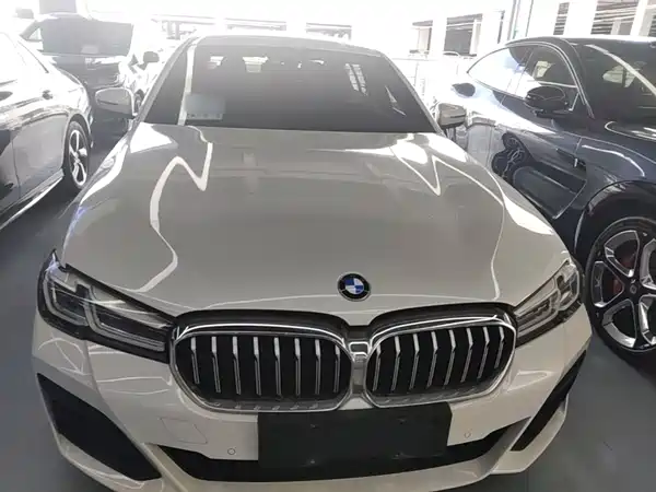 BMW 5 Series New Energy 2021