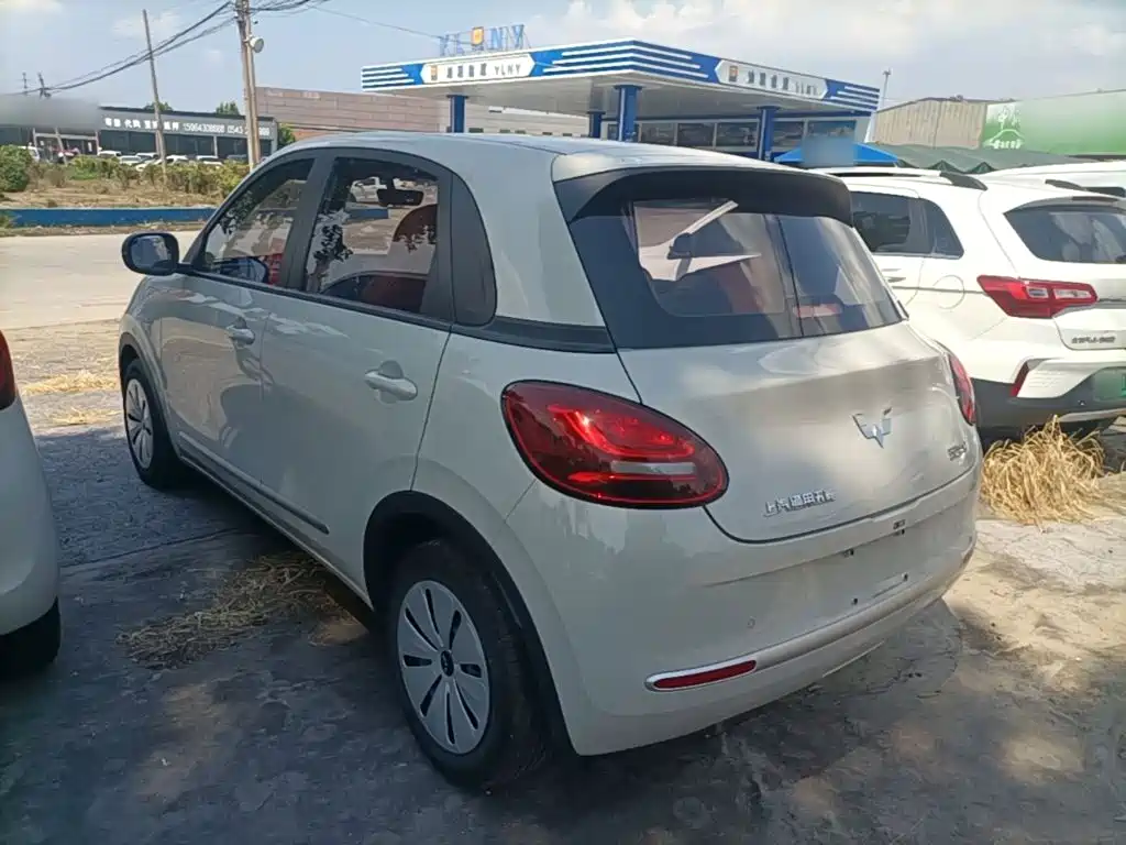 Wuling Bingo 2024